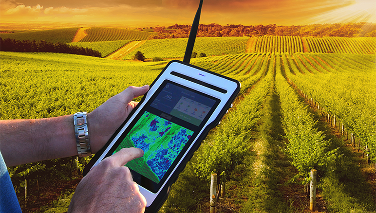 5 Kemajuan Teknologi Informasi Membantu Pertanian